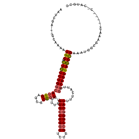 secondary structure