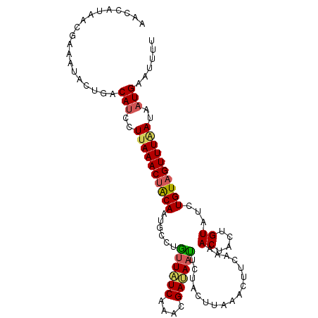 secondary structure