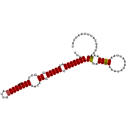 secondary structure