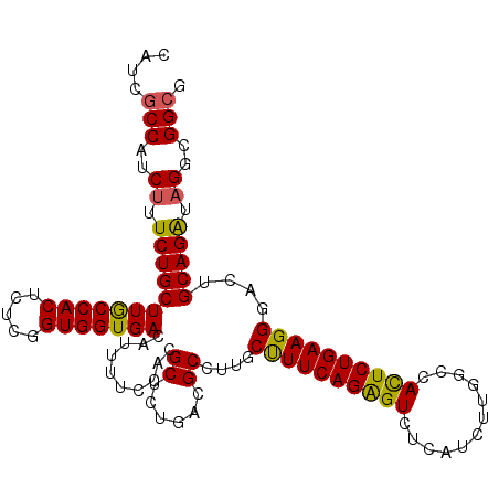 secondary structure