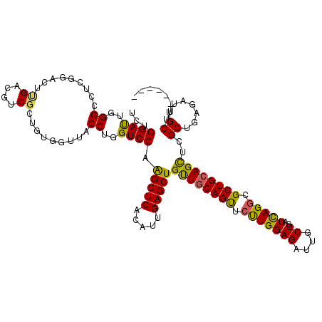 secondary structure