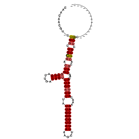 secondary structure