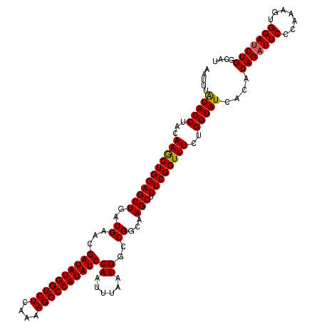 secondary structure