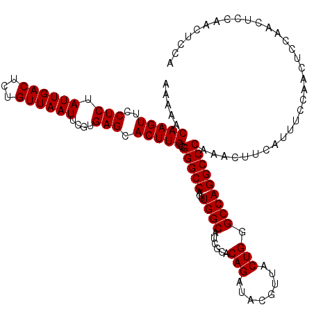secondary structure