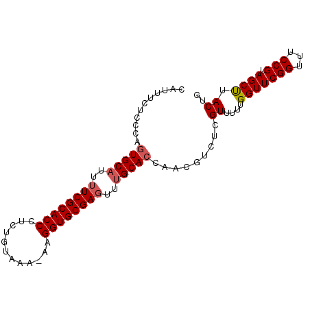 secondary structure