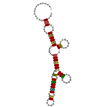 secondary structure