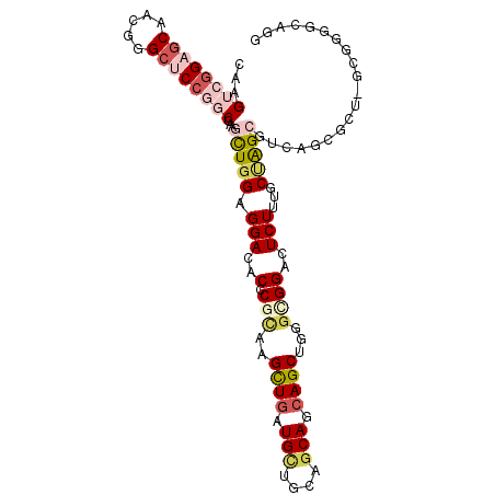 secondary structure