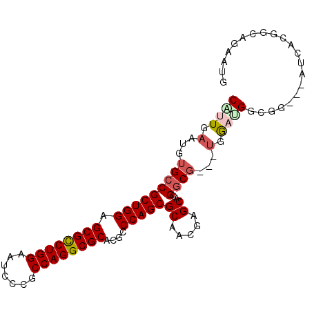 secondary structure