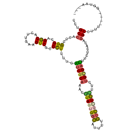 secondary structure