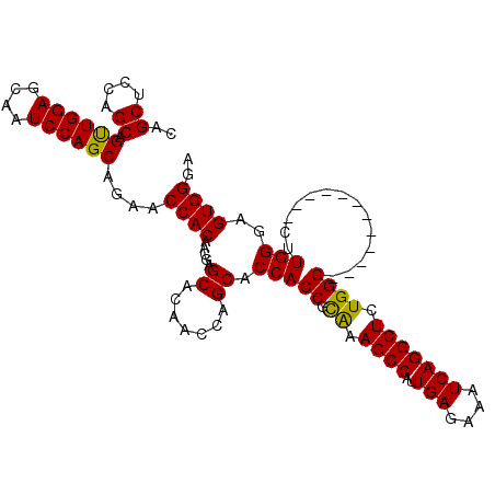 secondary structure