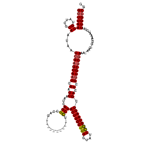 secondary structure