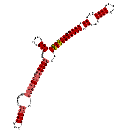 secondary structure