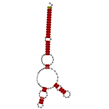 secondary structure