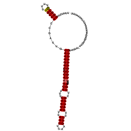 secondary structure