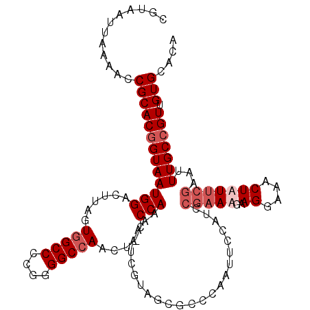 secondary structure