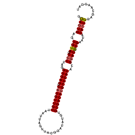 secondary structure