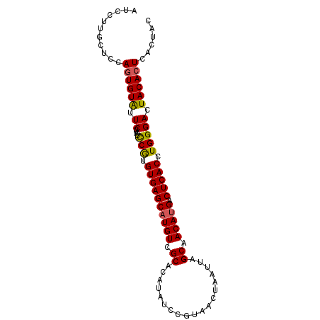 secondary structure