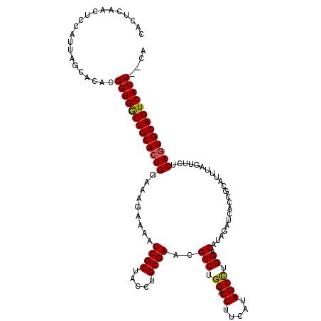 secondary structure