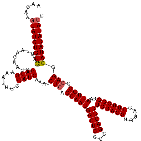 secondary structure