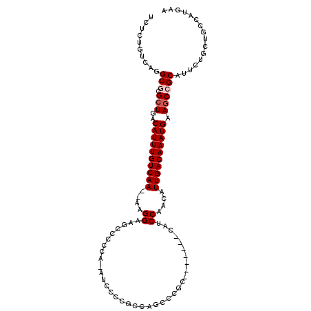 secondary structure