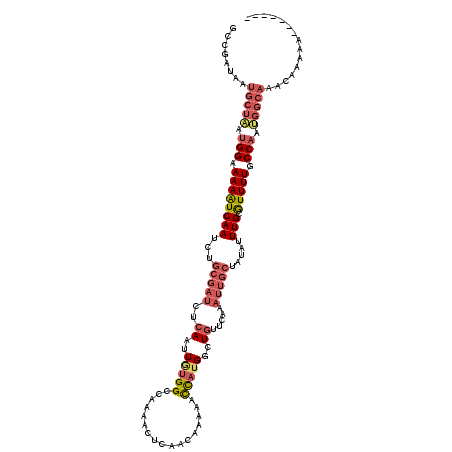 secondary structure