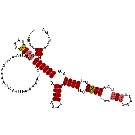 secondary structure