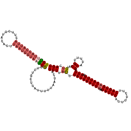 secondary structure