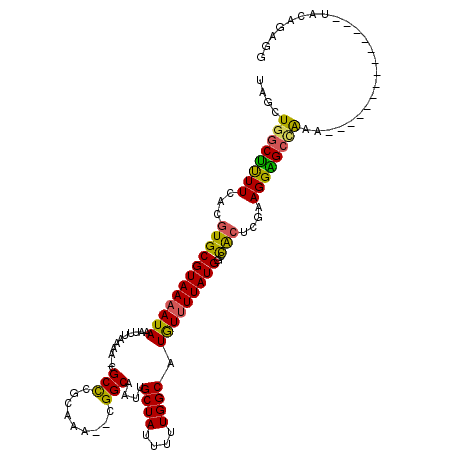 secondary structure