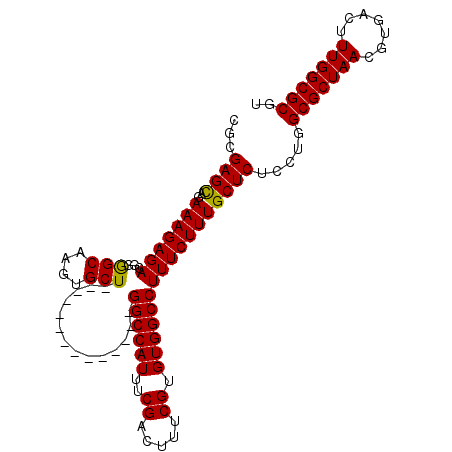 secondary structure