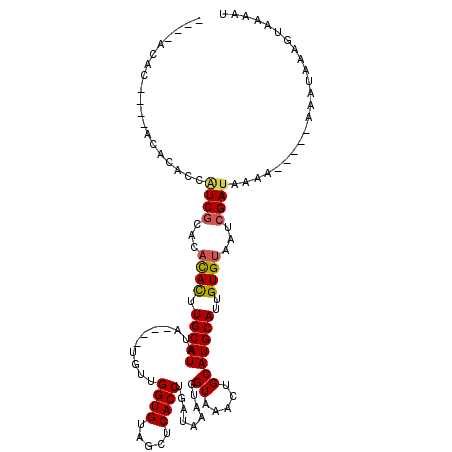 secondary structure