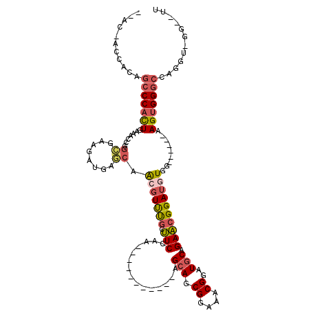 secondary structure