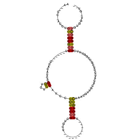 secondary structure