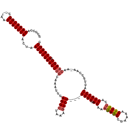 secondary structure