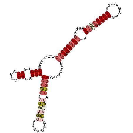 secondary structure