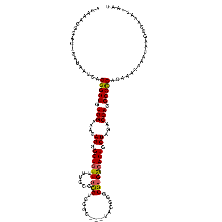 secondary structure