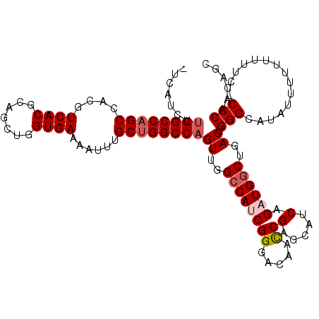 secondary structure