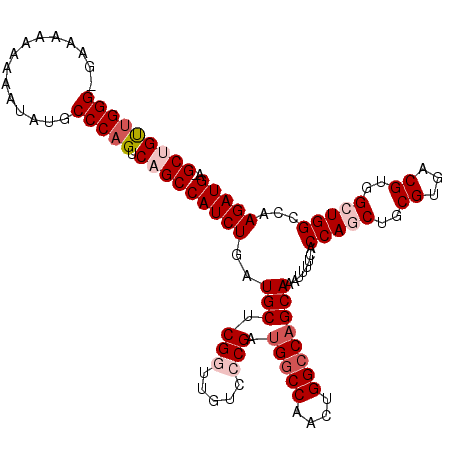 secondary structure