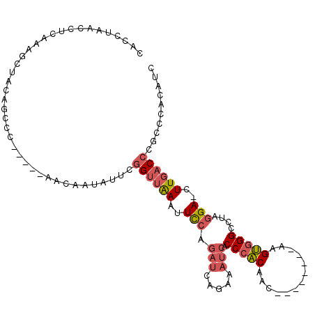 secondary structure