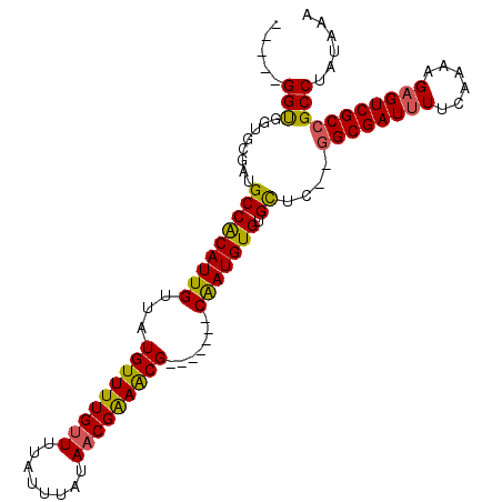 secondary structure