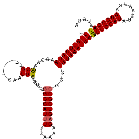 secondary structure