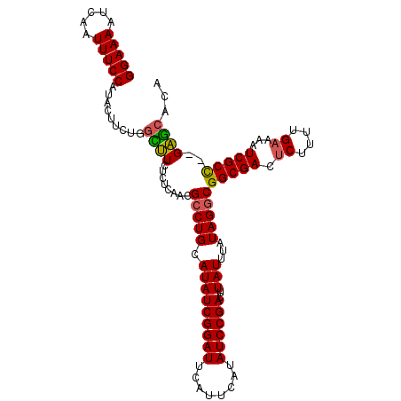 secondary structure