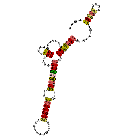 secondary structure