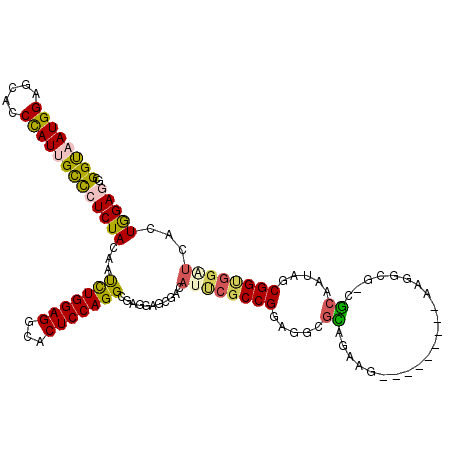 secondary structure