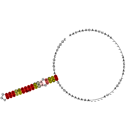 secondary structure