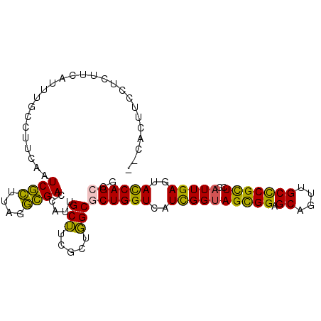 secondary structure