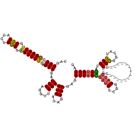 secondary structure