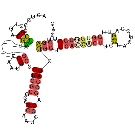 secondary structure