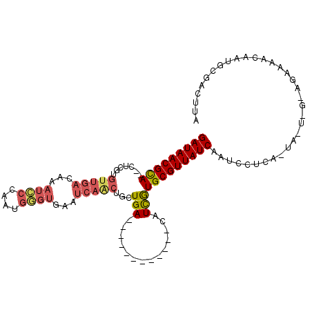 secondary structure