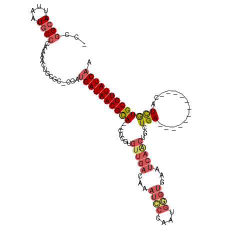 secondary structure