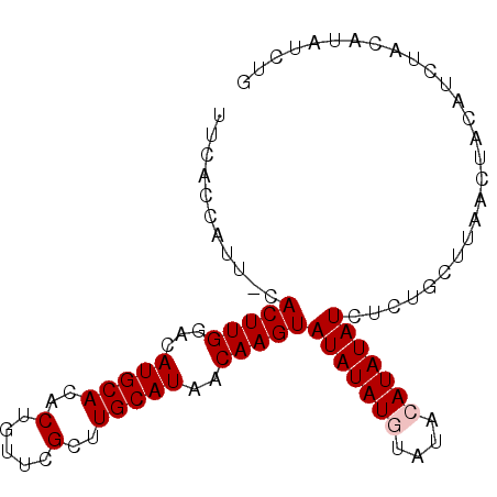 secondary structure